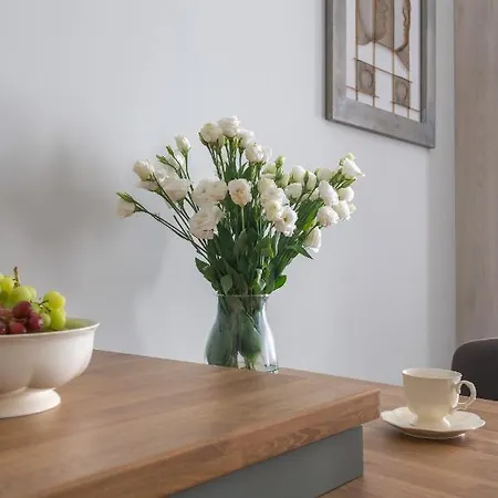 Business Kasprzaka Serviced P&o 公寓 华沙